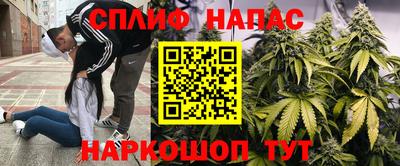 ALPHA PVP Моздок