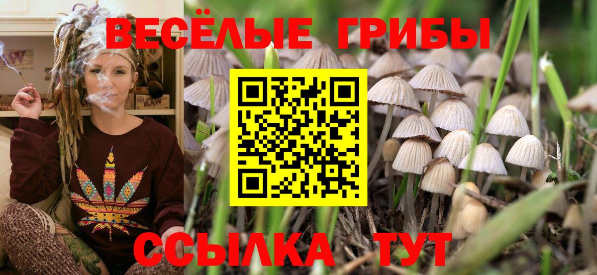 Псилоцибиновые грибы Magic Shrooms Борзя