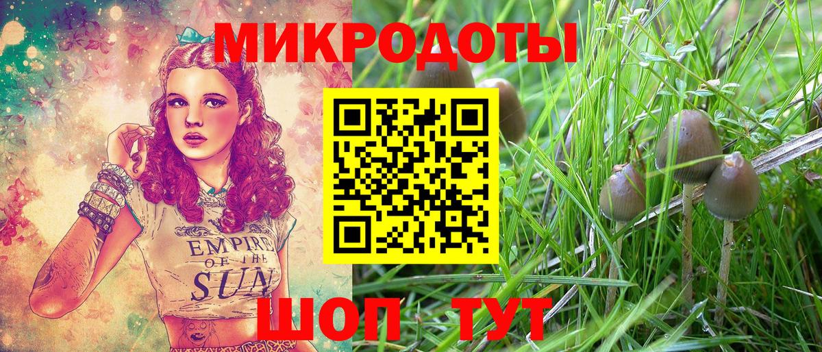 Борзя  Галлюциногенные грибы ЛСД  Вход с VPN 