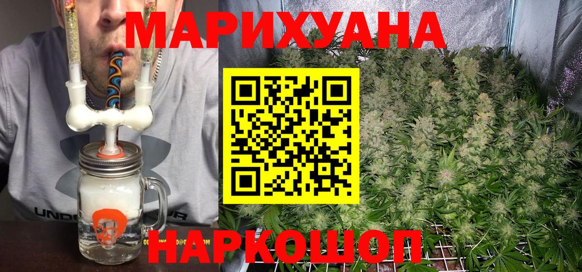 Конопля AK-47  Вход с VPN  Бошки марихуана конопля  Шишки марихуана планчик  Борзя 
